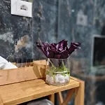 Appartement Rosemarine