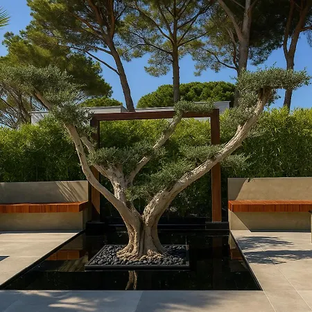 Rosemarine * Дуррес