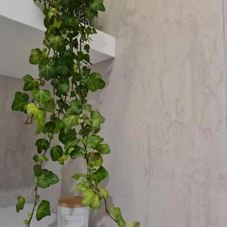 Apartman Rosemarine