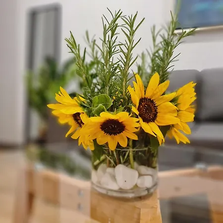 Apartman Rosemarine *