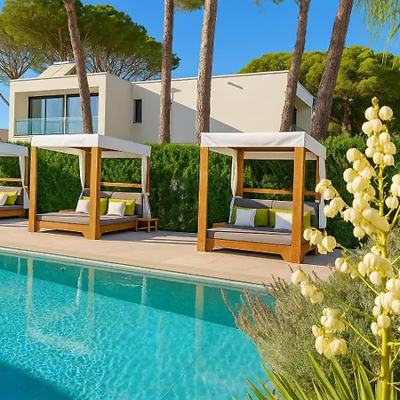 Rosemarine * דורס